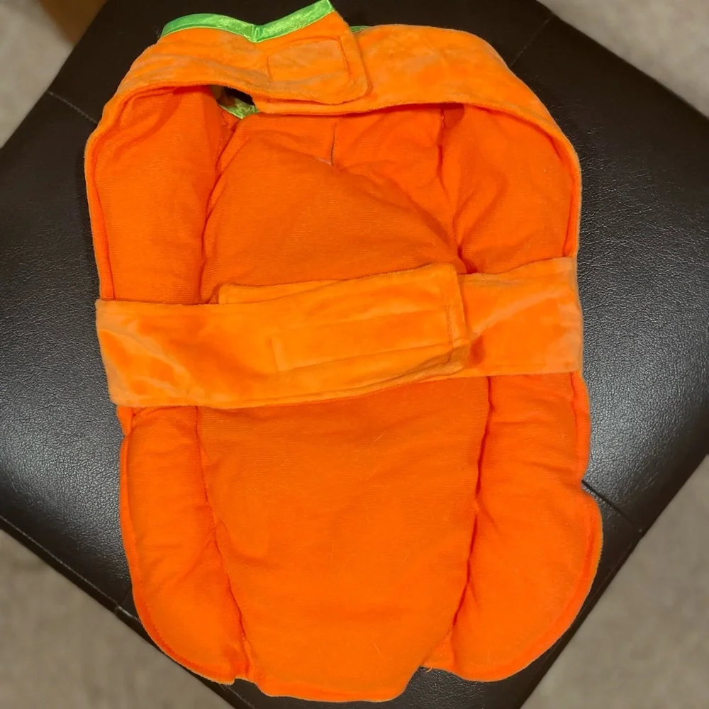 Dog Pumpkin Costume - Picture 2 of 5